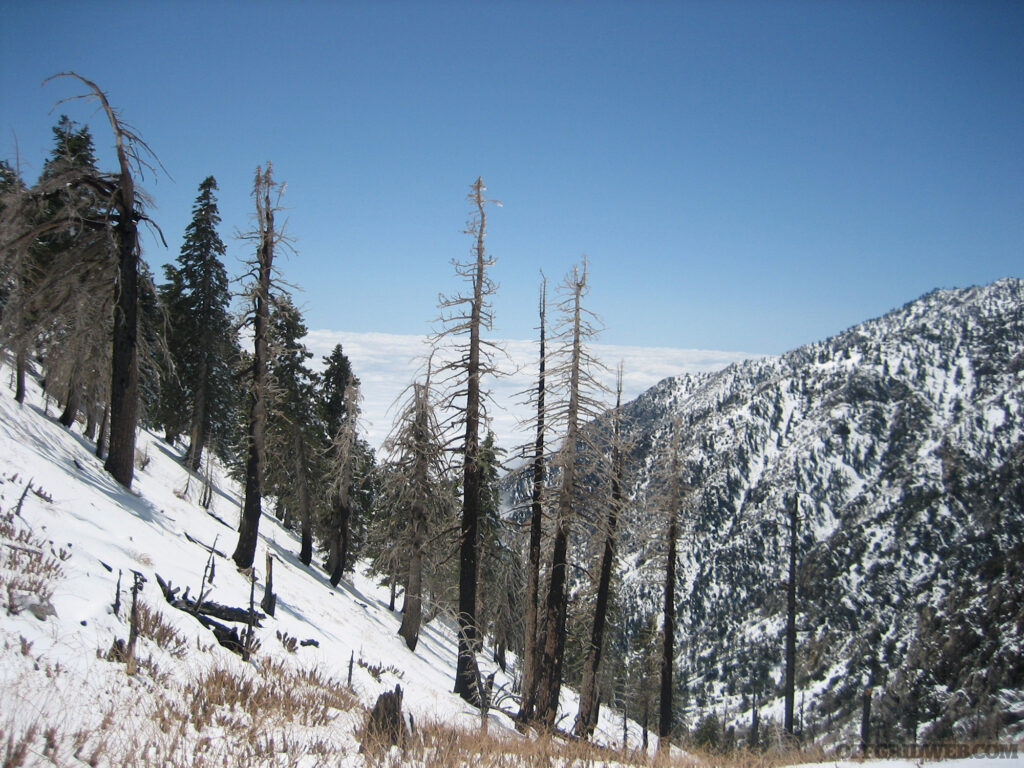 Photo of a snowy alpine landscape.