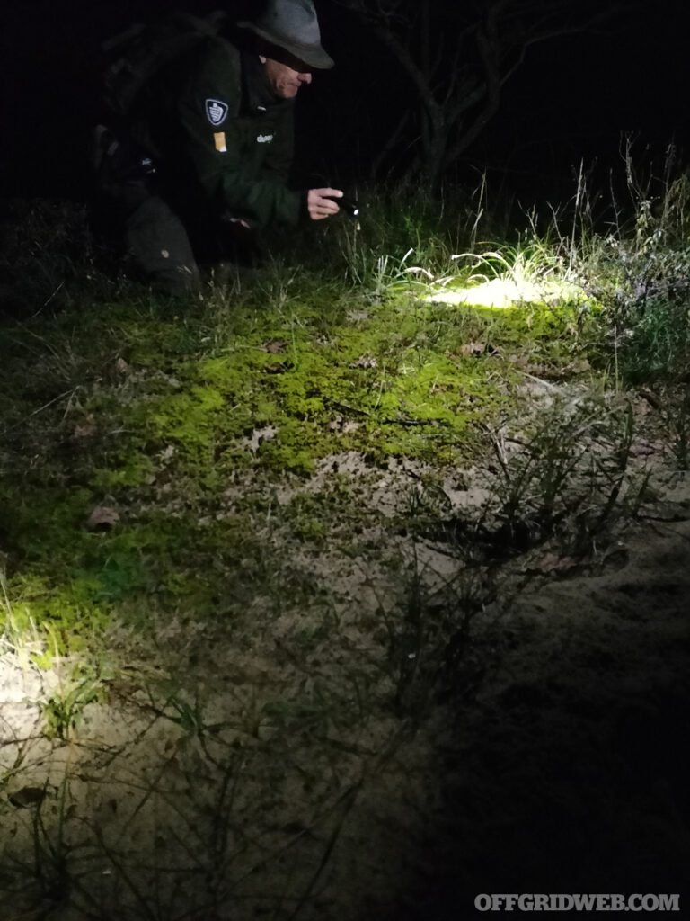 Photo of several people tracking at night with white light.