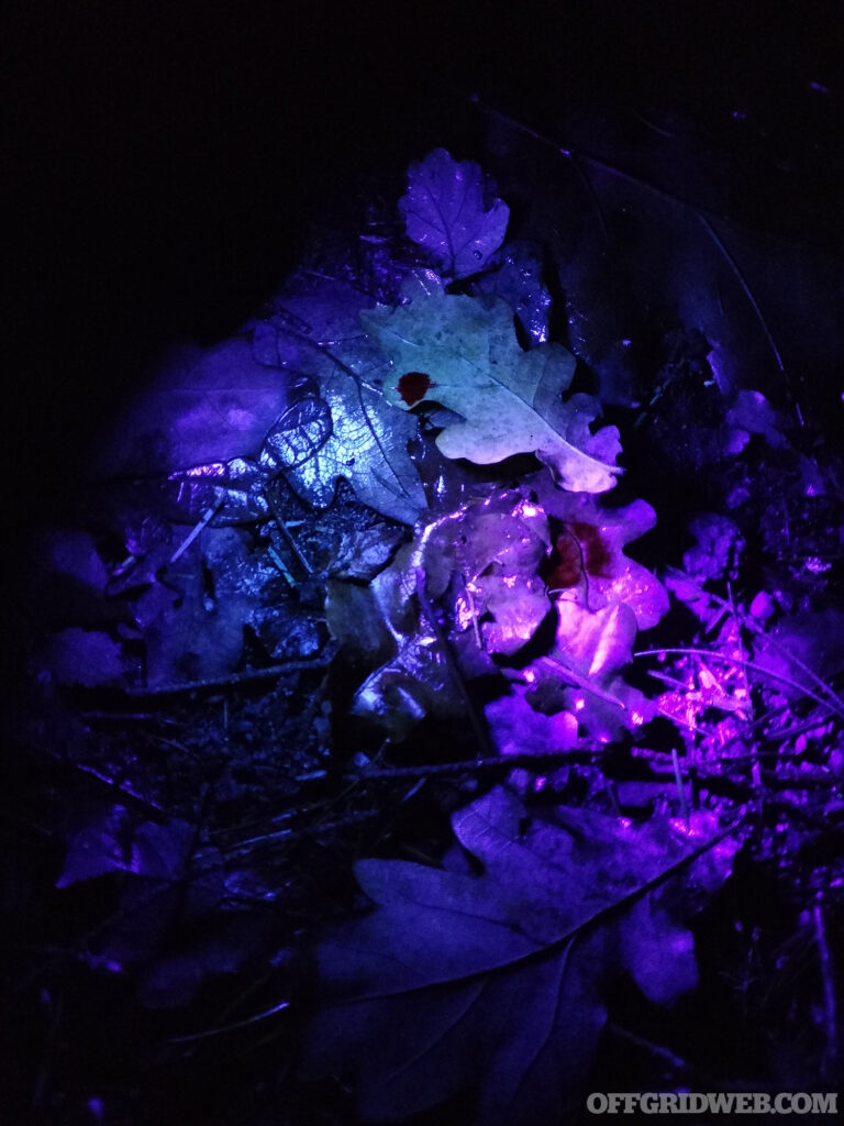 Photo of someone using a UV light during tracking.
