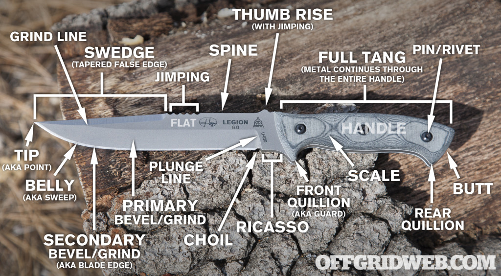 Knife anatomy infographic.