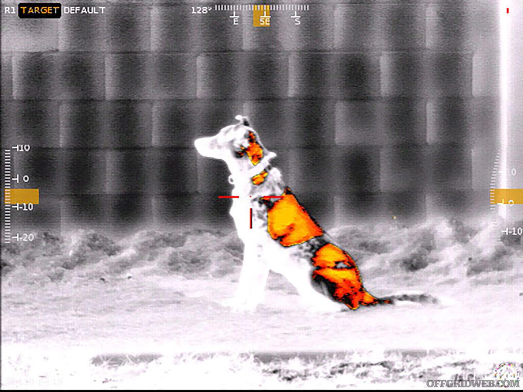 Thermal target view of a dog.