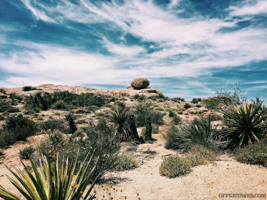 Photo of the terrain in an arid desert.